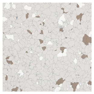 8441 Image